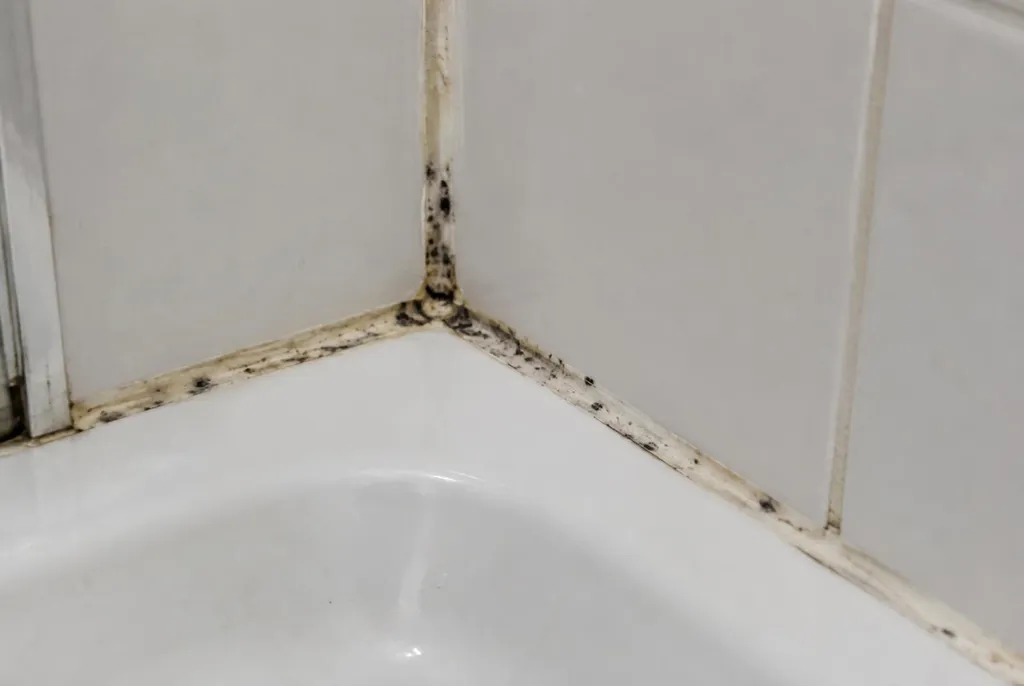 Kitbedrijf Gorinchem – beschimmelde kitranden